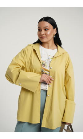 Блуза/DEESSES/50 52 54 56 58